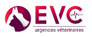 Logo EVC